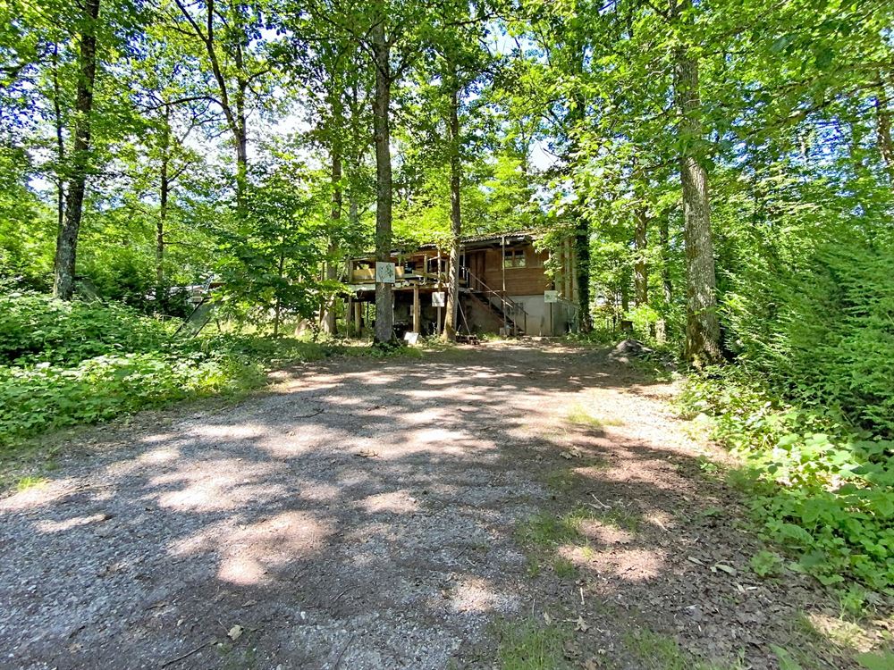 Chalet authentique niché dans un écrin de verdure