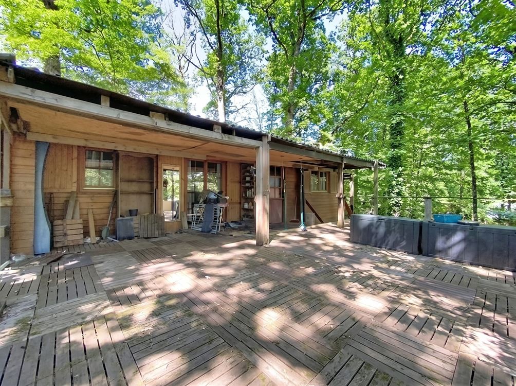 Chalet authentique niché dans un écrin de verdure