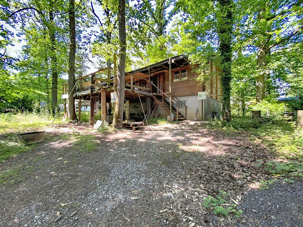 Chalet authentique niché dans un écrin de verdure