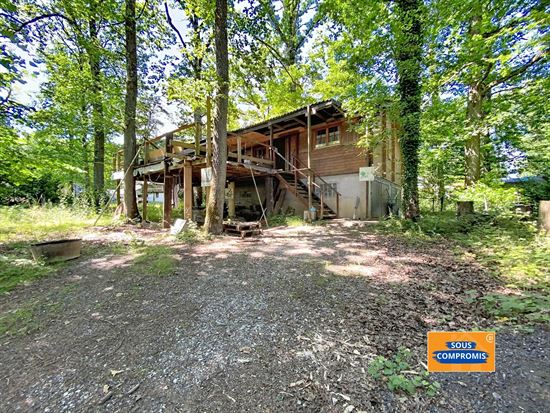 Chalet authentique niché dans un écrin de verdure