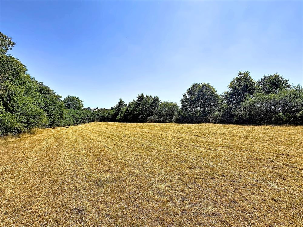 SUPERBE TERRAIN À BÂTIR DE 19,64 ARES - FAÇADE DE 70 M