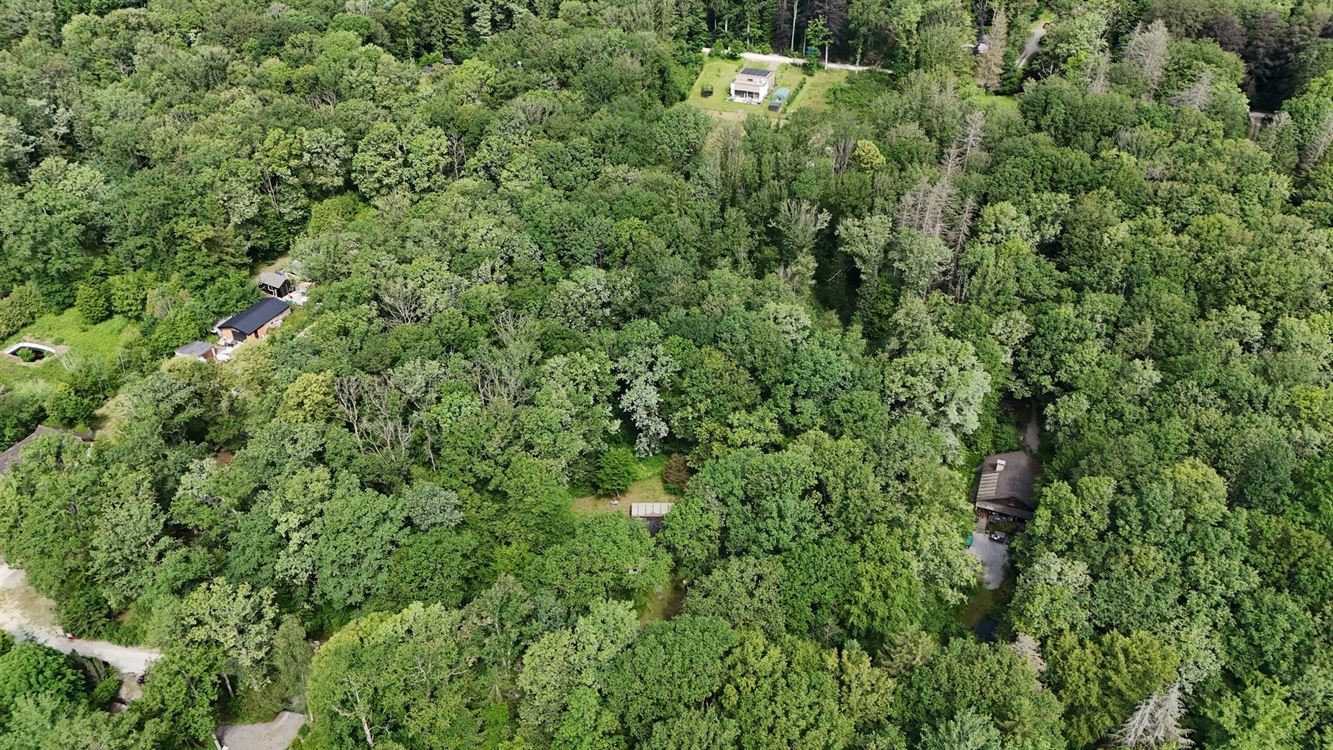 SUPERBE MAISON 4F DANS UN DOMAINE