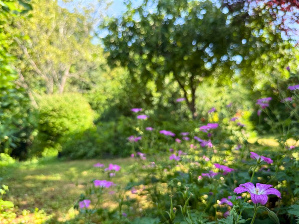 SUPERBE MAISON 6 CHAMBRES – JARDIN ARBORÉ – GARAGE