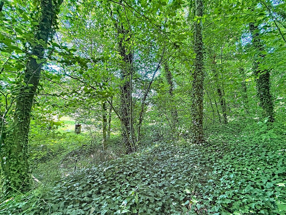 SUPERBE MAISON 6 CHAMBRES – JARDIN ARBORÉ – GARAGE