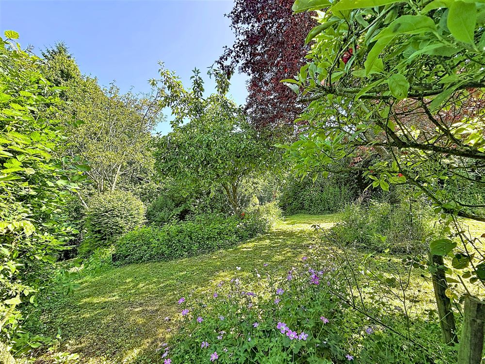 SUPERBE MAISON 6 CHAMBRES – JARDIN ARBORÉ – GARAGE