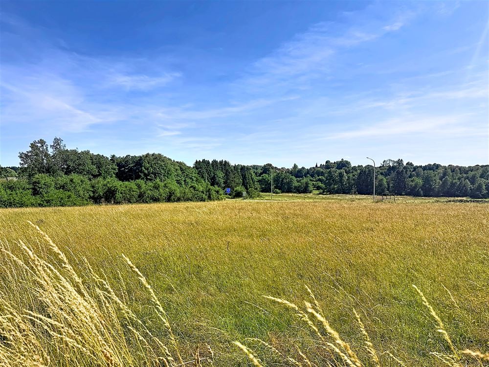 SUPERBE TERRAIN À BÂTIR DE 19,83 ARES - EXPOSITION SUD