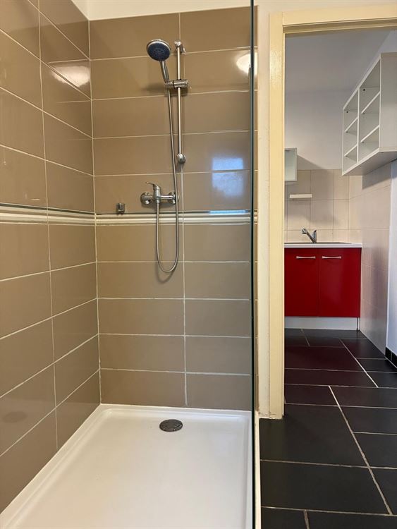 APPARTEMENT REZ-DE-CHAUSSEE 1 CHAMBRE AVEC TERRASSE