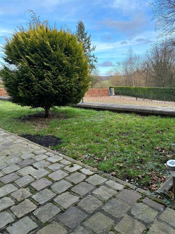 APPARTEMENT REZ-DE-CHAUSSEE 1 CHAMBRE AVEC TERRASSE