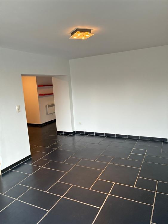 APPARTEMENT REZ-DE-CHAUSSEE 1 CHAMBRE AVEC TERRASSE