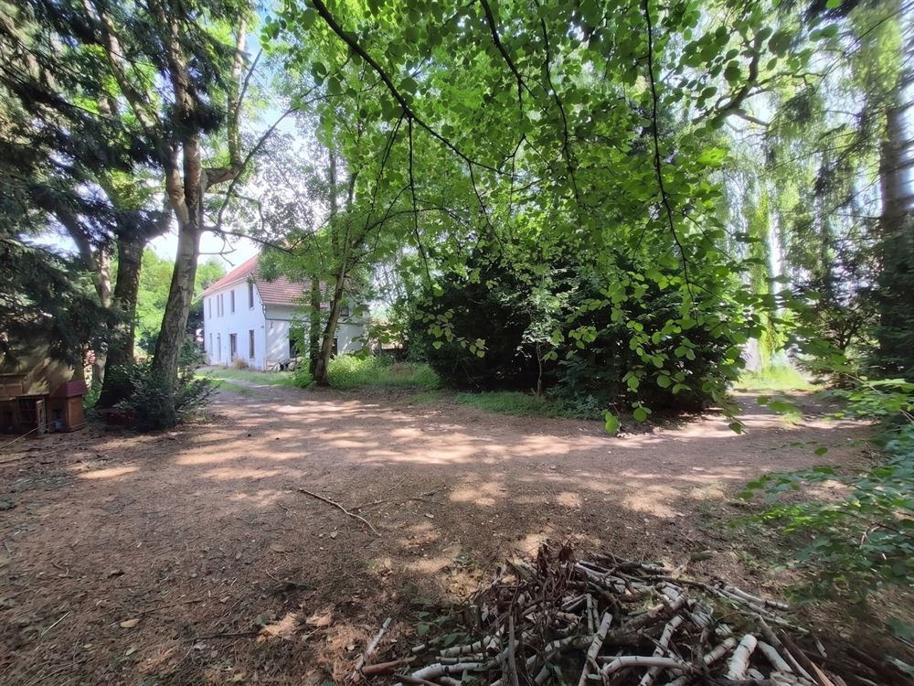 MAISON AVEC VASTE TERRAIN