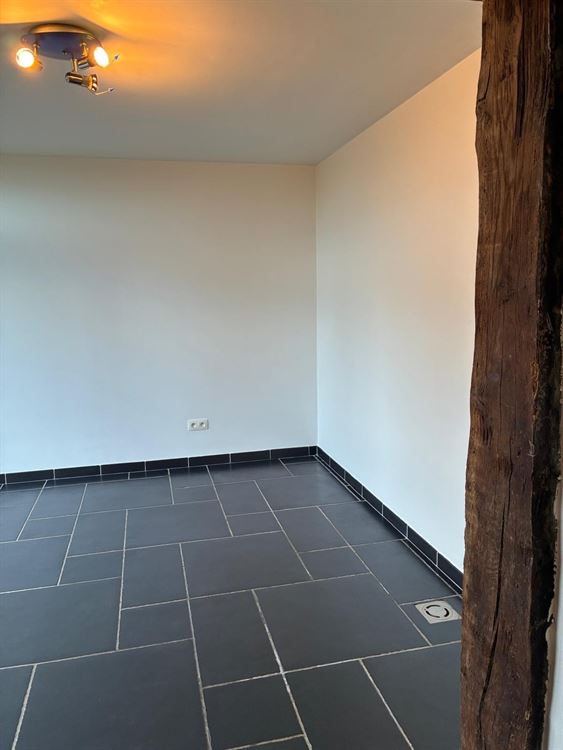 APPARTEMENT REZ-DE-CHAUSSEE 1 CHAMBRE AVEC TERRASSE