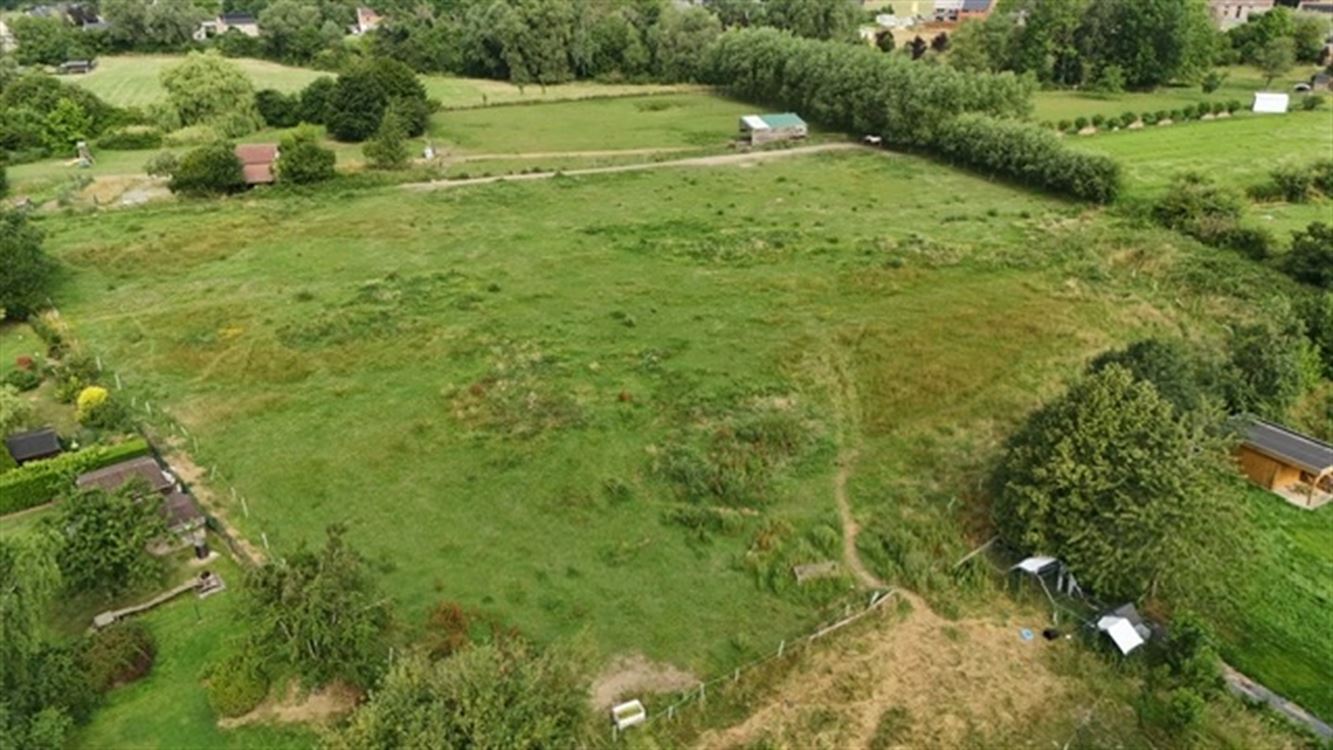 fermette 4 chambres sur terrain de ±1,4 ha.