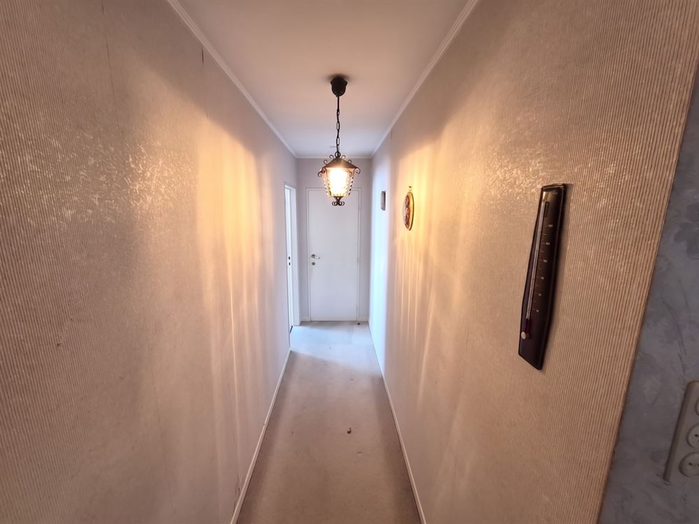 APPARTEMENT + GARAGE