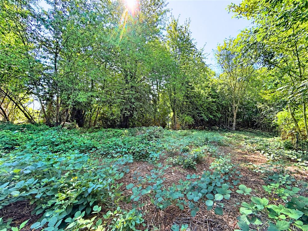 SUPERBE VILLA 4 CHAMBRES SUR LES HAUTEURS - JARDIN PLEIN SUD