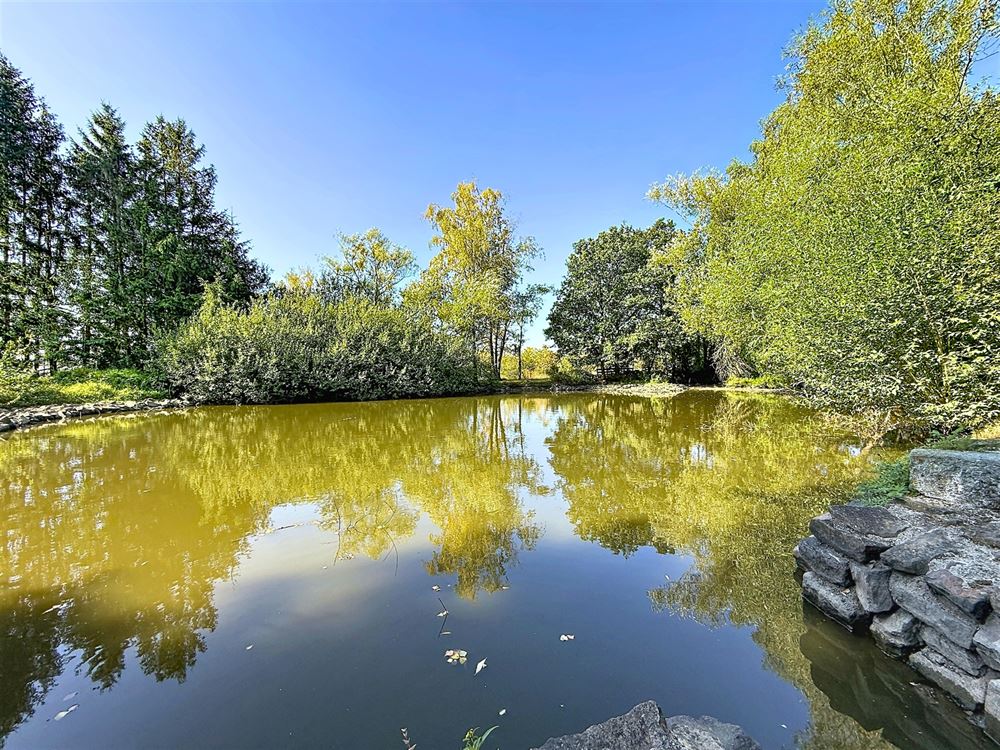 SUPERBE PROPRIÉTÉ AVEC ÉTANG SUR PRÈS D'UN HECTARE