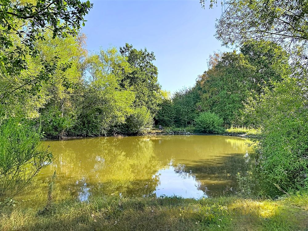 SUPERBE PROPRIÉTÉ AVEC ÉTANG SUR PRÈS D'UN HECTARE