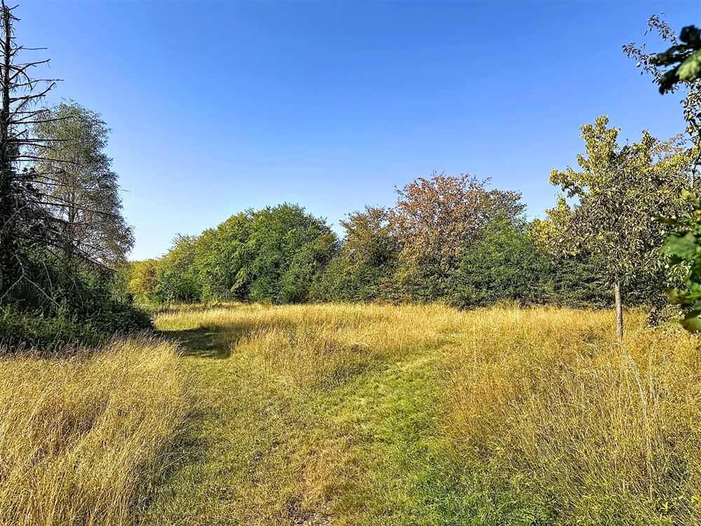 SUPERBE PROPRIÉTÉ AVEC ÉTANG SUR PRÈS D'UN HECTARE