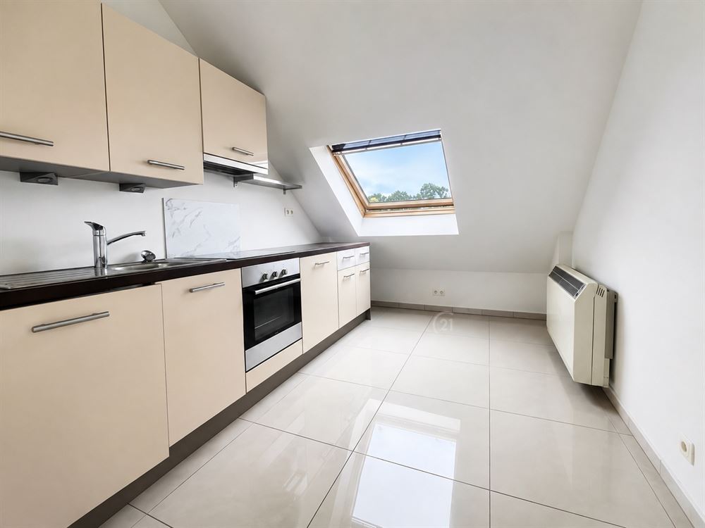 APPARTEMENT LUMINEUX
