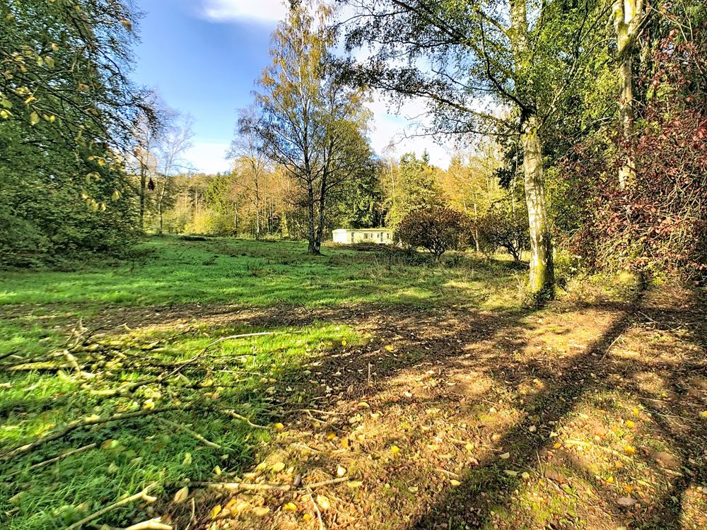 TERRAIN DE LOISIRS DE 7280M² AVEC ETANG ET BUNGALOW