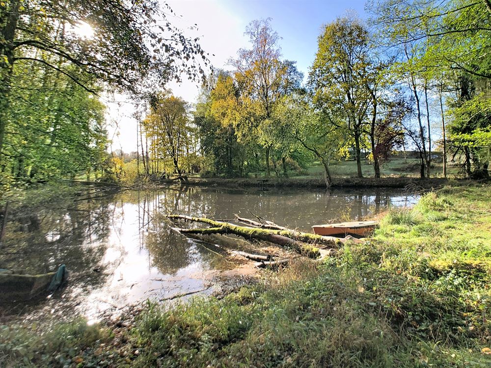 TERRAIN DE LOISIRS DE 7280M² AVEC ETANG ET BUNGALOW