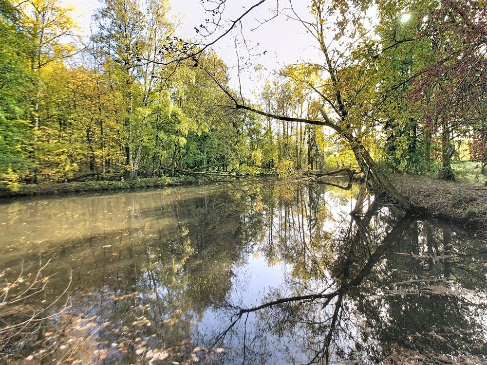 TERRAIN DE LOISIRS DE 7280M² AVEC ETANG ET BUNGALOW
