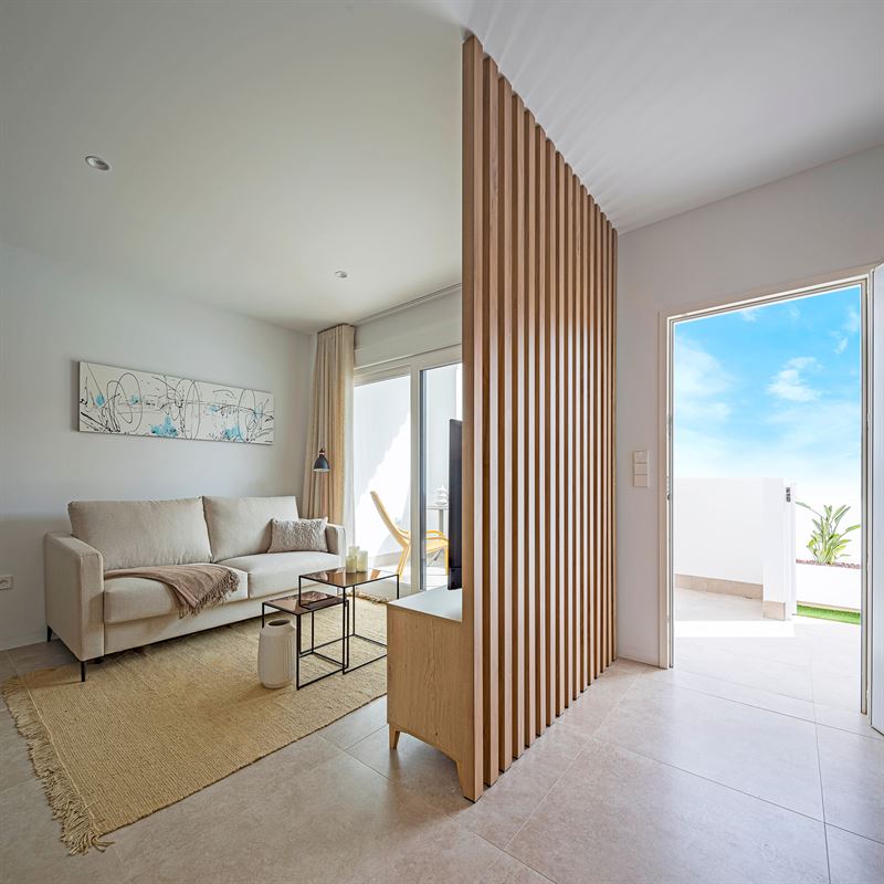 Palm Beach II