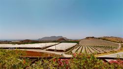 Villa Cabo Cope Area