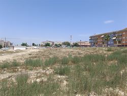 San Miguel de Salinas