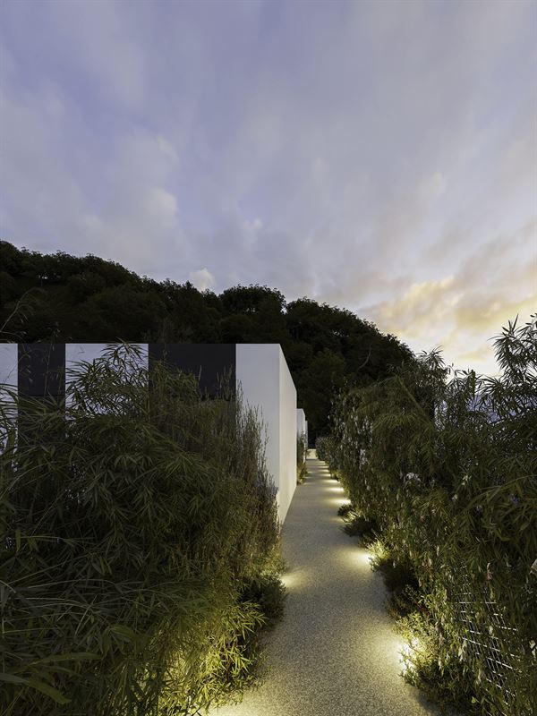 Orquidea Mediterranean House