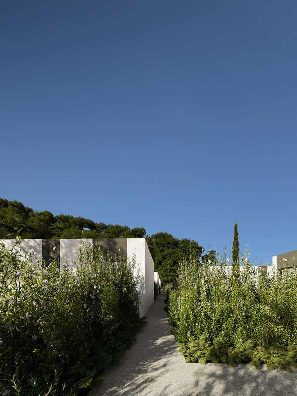 Orquidea Mediterranean House