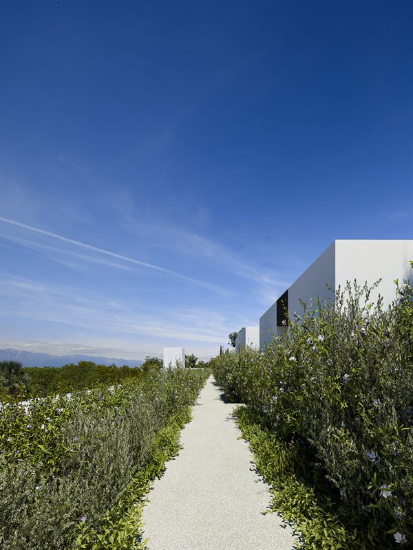 Orquidea Mediterranean House