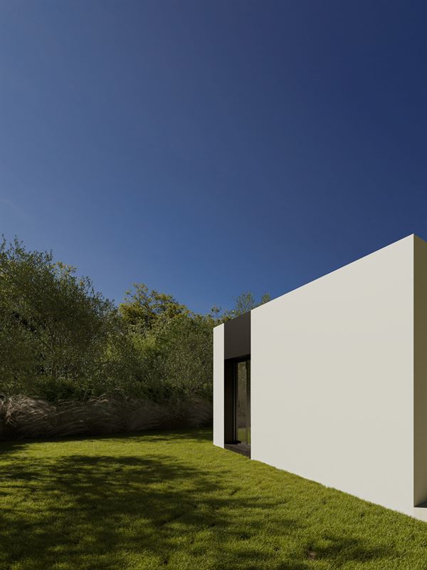 Orquidea Mediterranean House