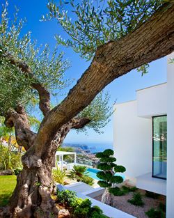 Residencial Plus Jazmines - Villa Indigo