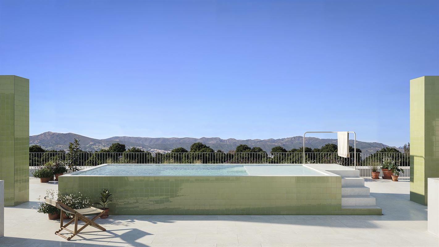 Alba Verde