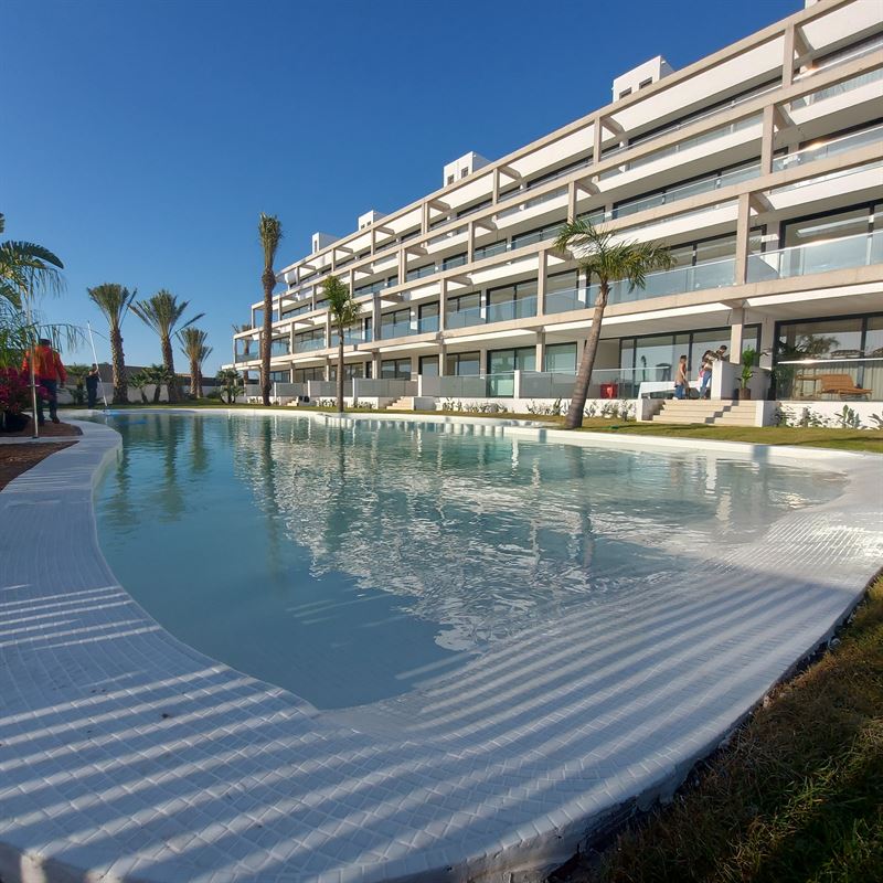 El Lago en Mar de Cristal