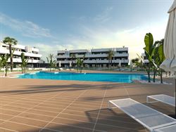  Oasis Laguna 3