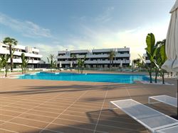 Oasis Laguna 2