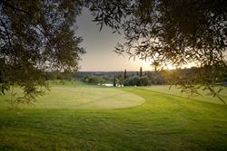Lomas de Campoamor