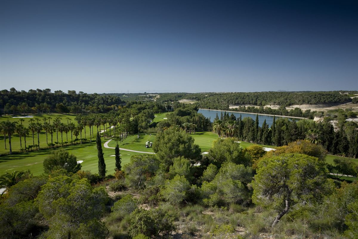 Lomas de Campoamor