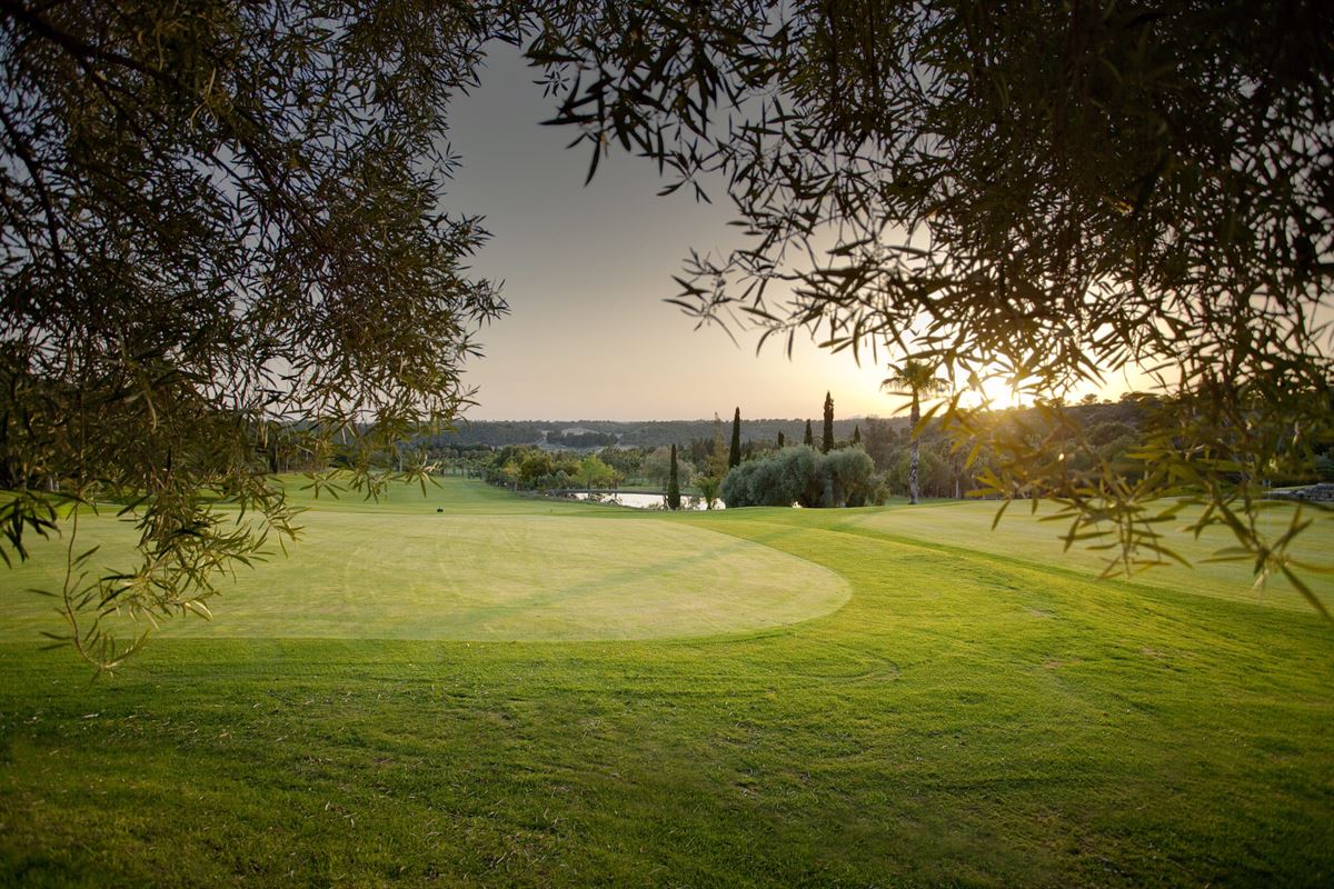 Lomas de Campoamor