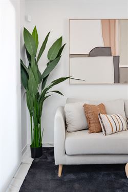 Las Higuericas Tourist Apartments