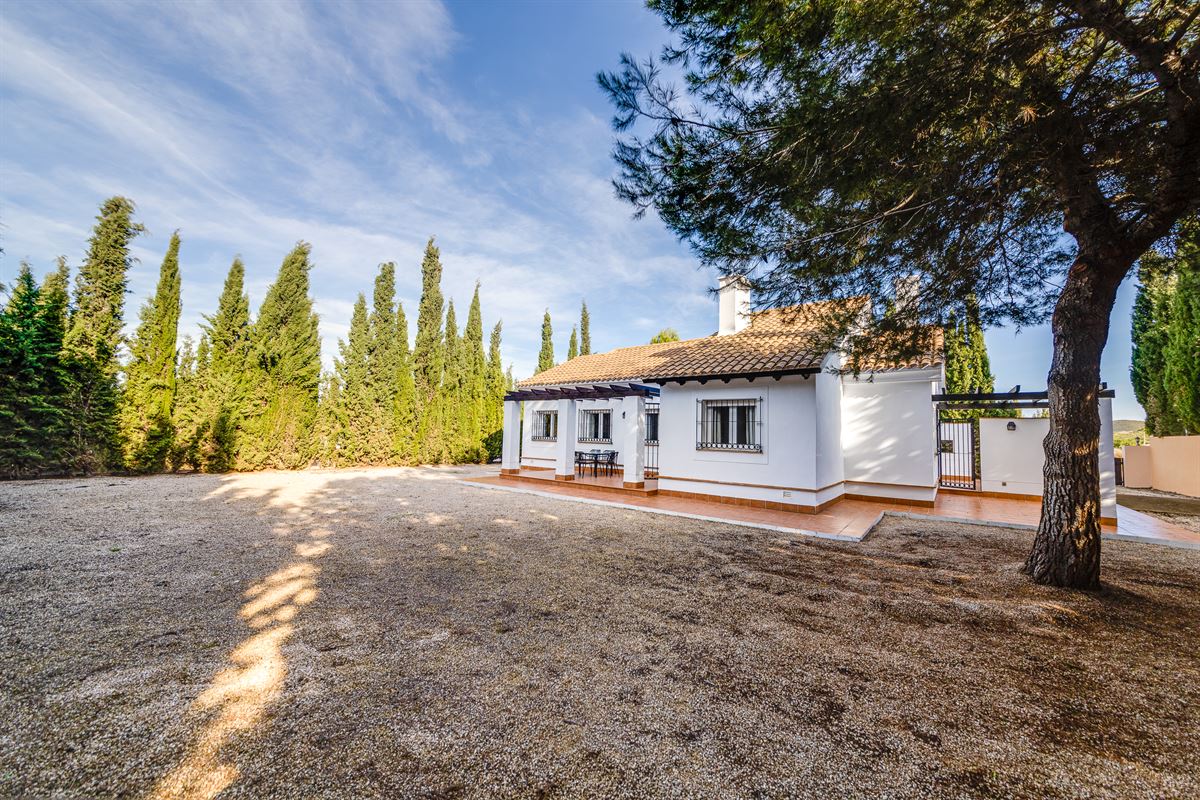 Los Altos de las Palas