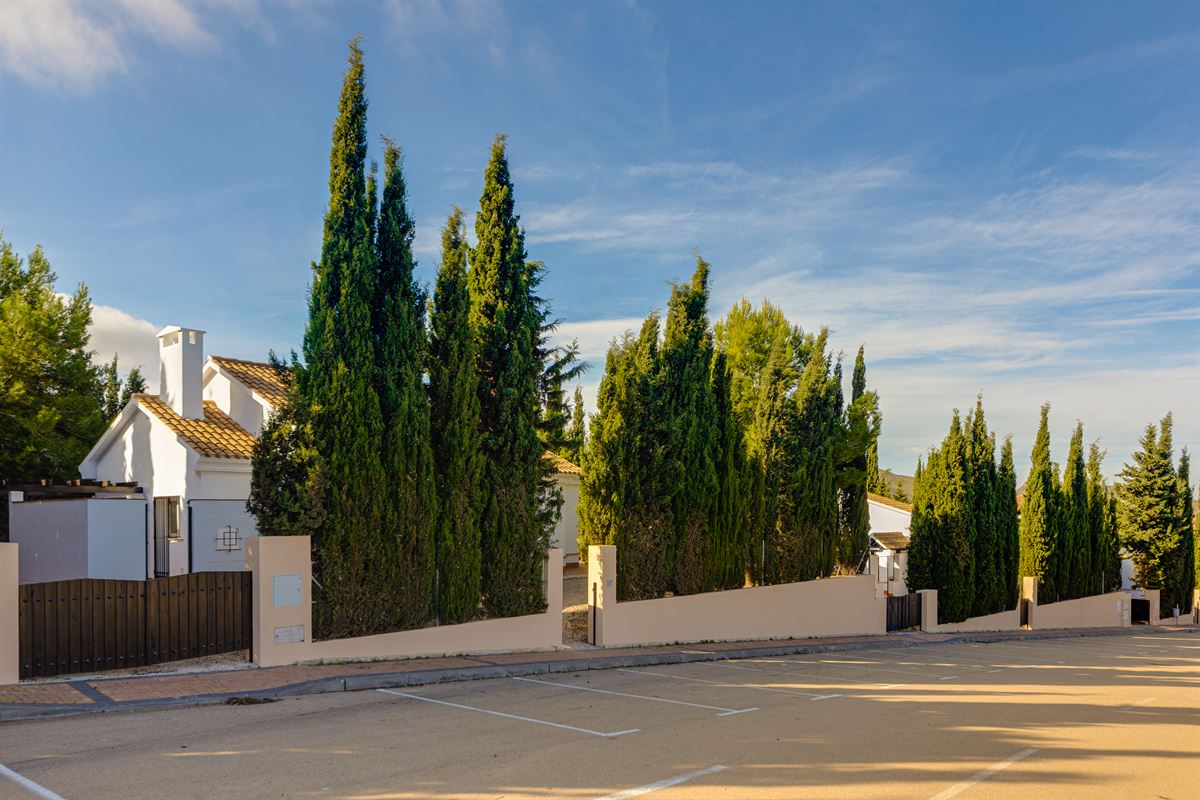 Los Altos de las Palas
