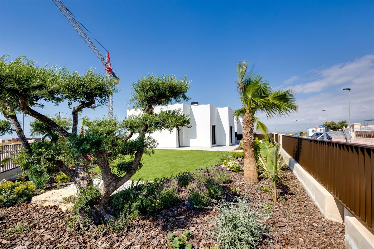 Terraza de Alicante