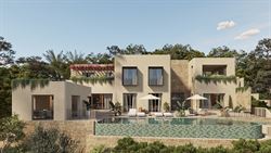 Oasis 005