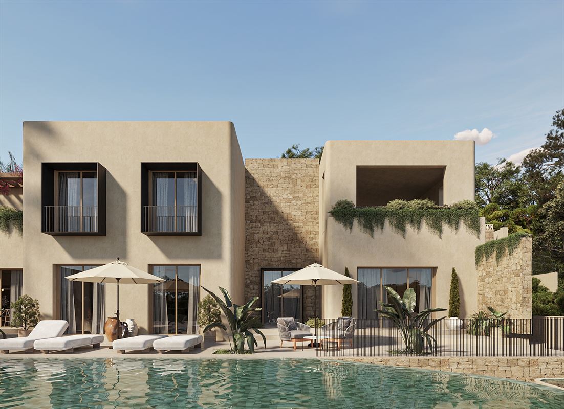 Oasis 005