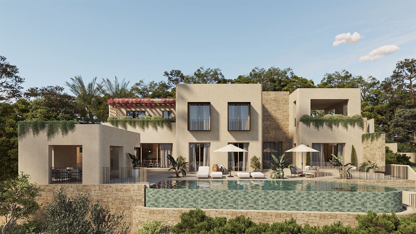 Oasis 005