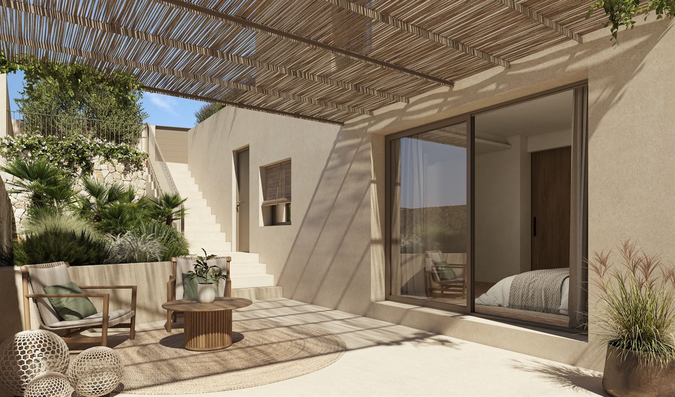 Oasis 004