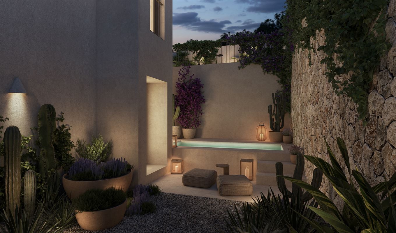 Oasis 004