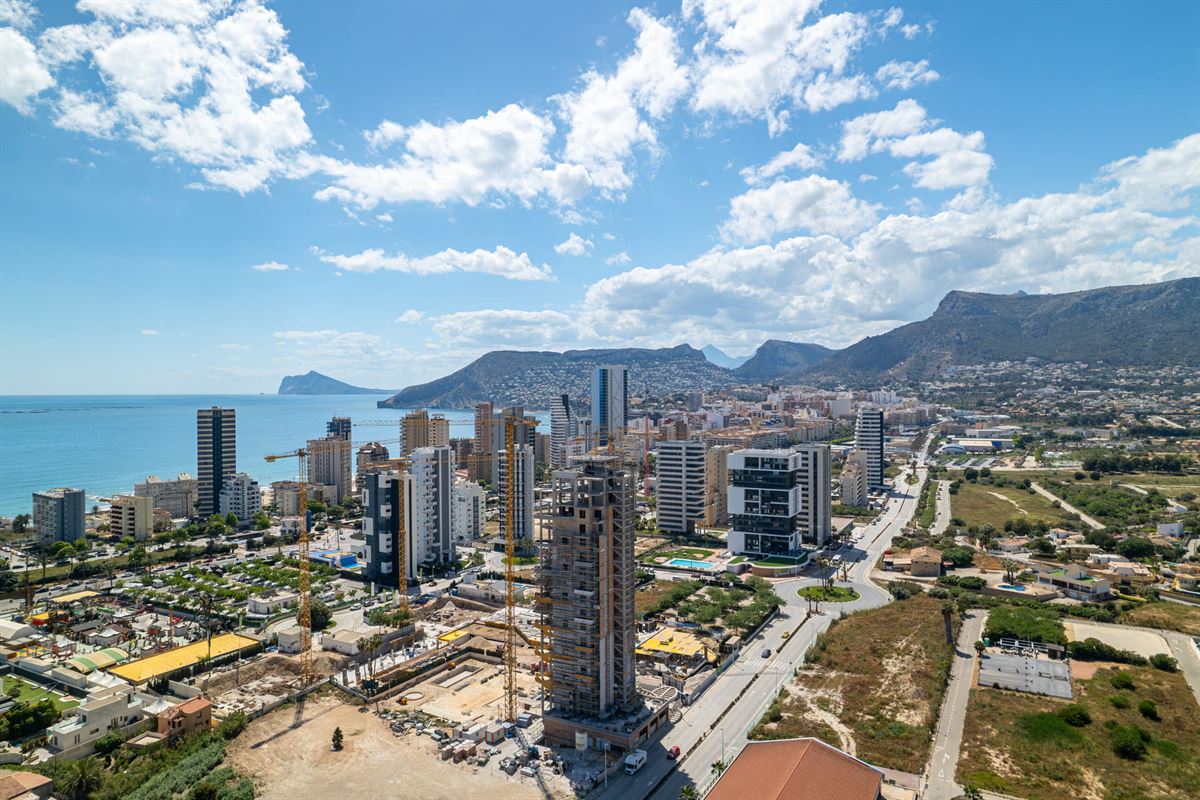 Golden Leaves